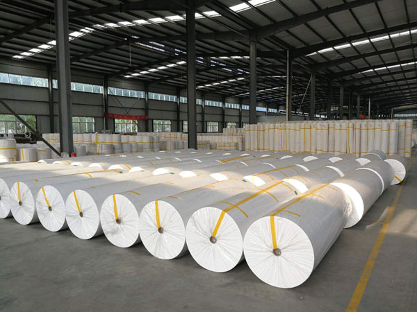 建始狭缝式涤纶纺粘无纺布